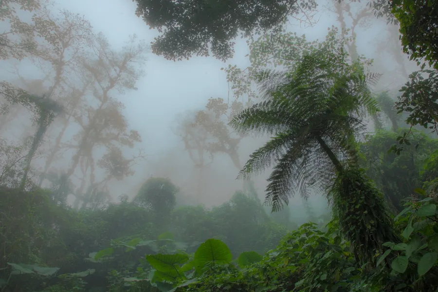 Costa Rica Rainforest Jewels & Manuel Antonio