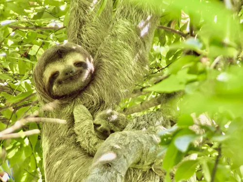 Caribbean’s Treasure & Arenal Volcano Wonders