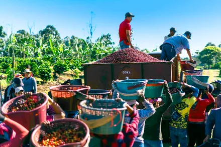 Day 02: City of San Jose – Poas Volcano – Doka Coffee Tour