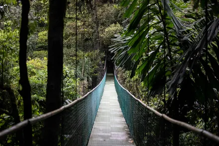 Day 03: Tortuguero National Park