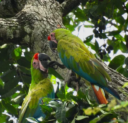 Days 03: City of San Jose – Tortuguero National Park
