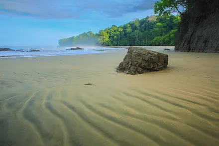 Dia 10- Manuel Antonio- San Jose Airport