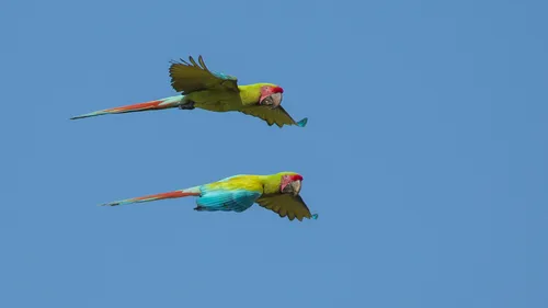 Multi Sport Eco Adventure Costa Rica