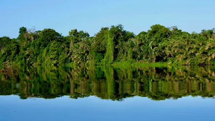 Days 03: City of San Jose – Tortuguero National Park