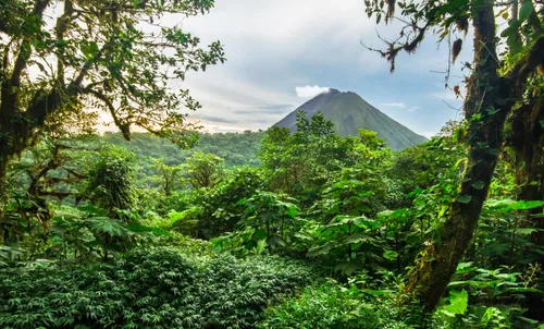 Luxury Rainforest Lodges